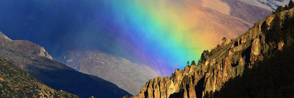 acatale's profile banner image