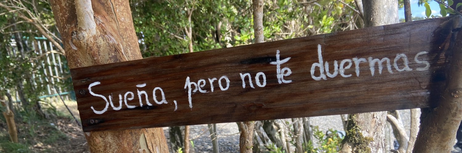 Camila Calderón P. banner