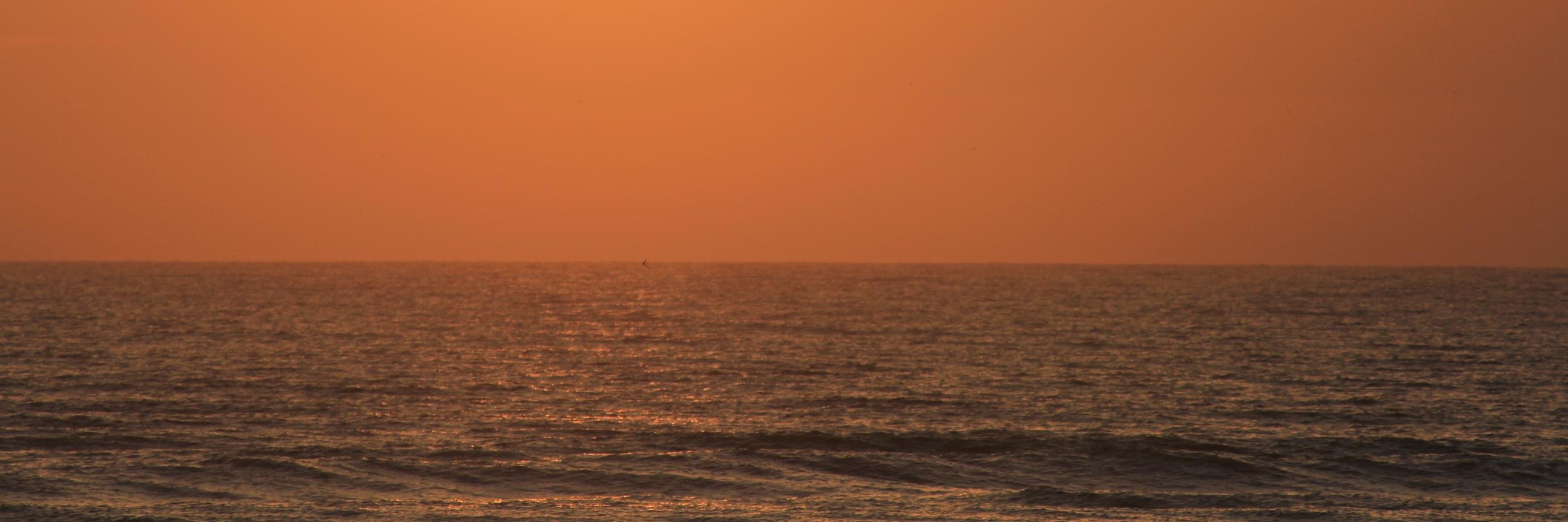 GrahamM67fla's profile banner image