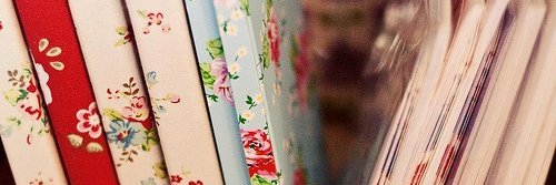 monasaranghee's profile banner image