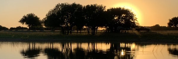 stephter Profile Banner