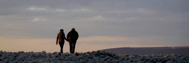 DonatellaFall's profile banner image