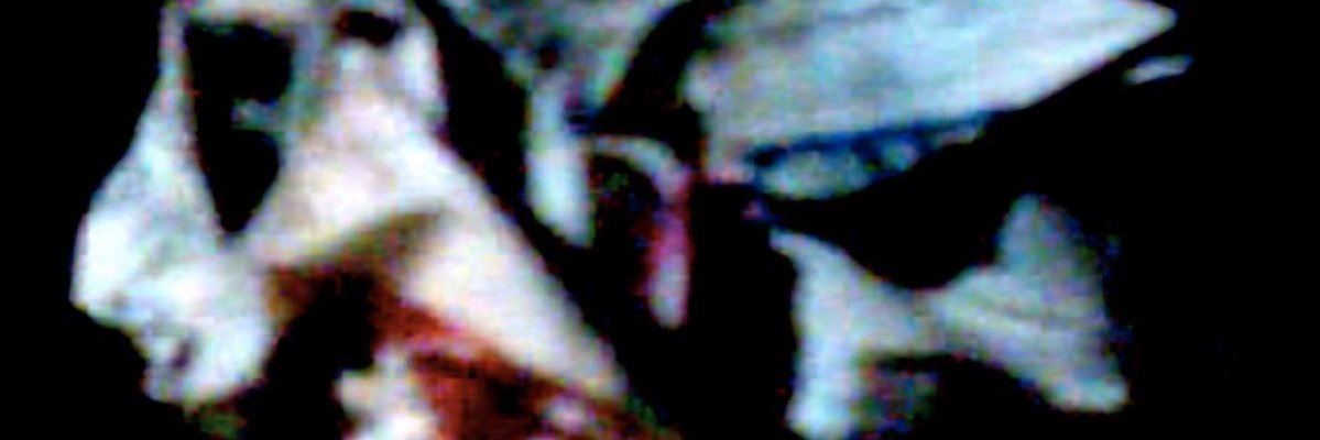 TruthAboutFrank's profile banner image