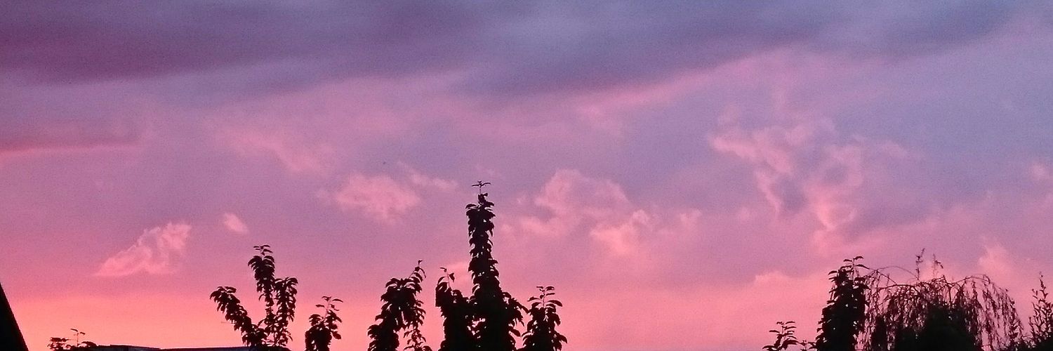 EliChoupi's profile banner image