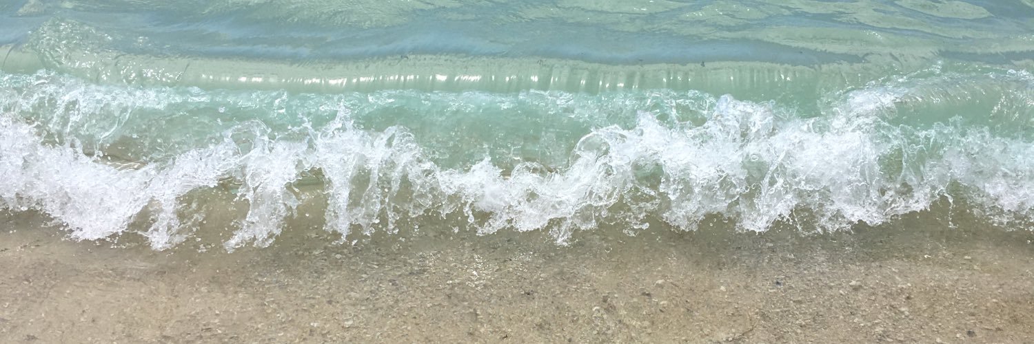 Elizabeth Stice banner