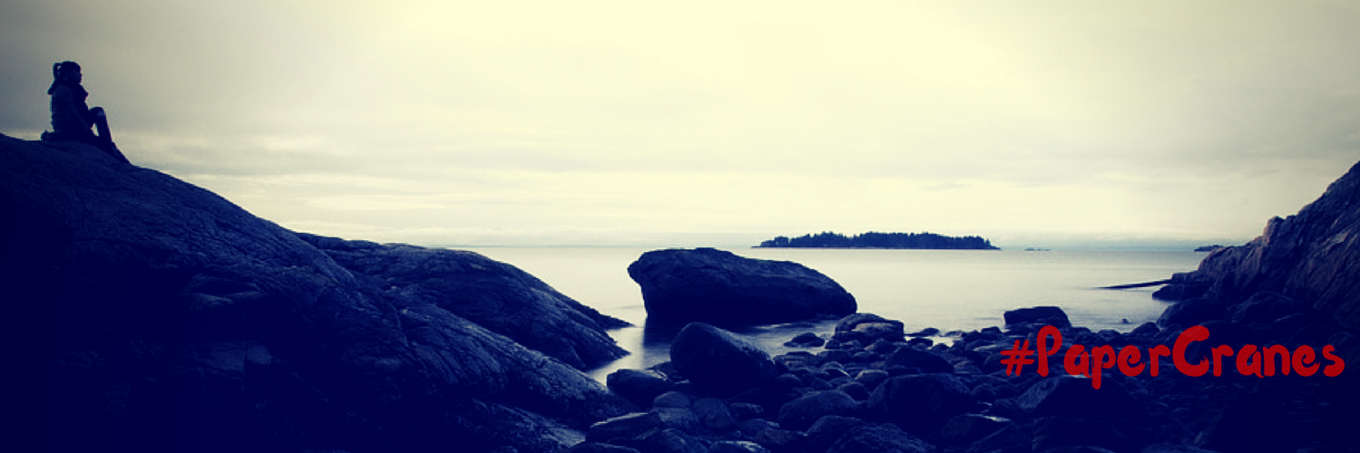 Christa Andersen banner