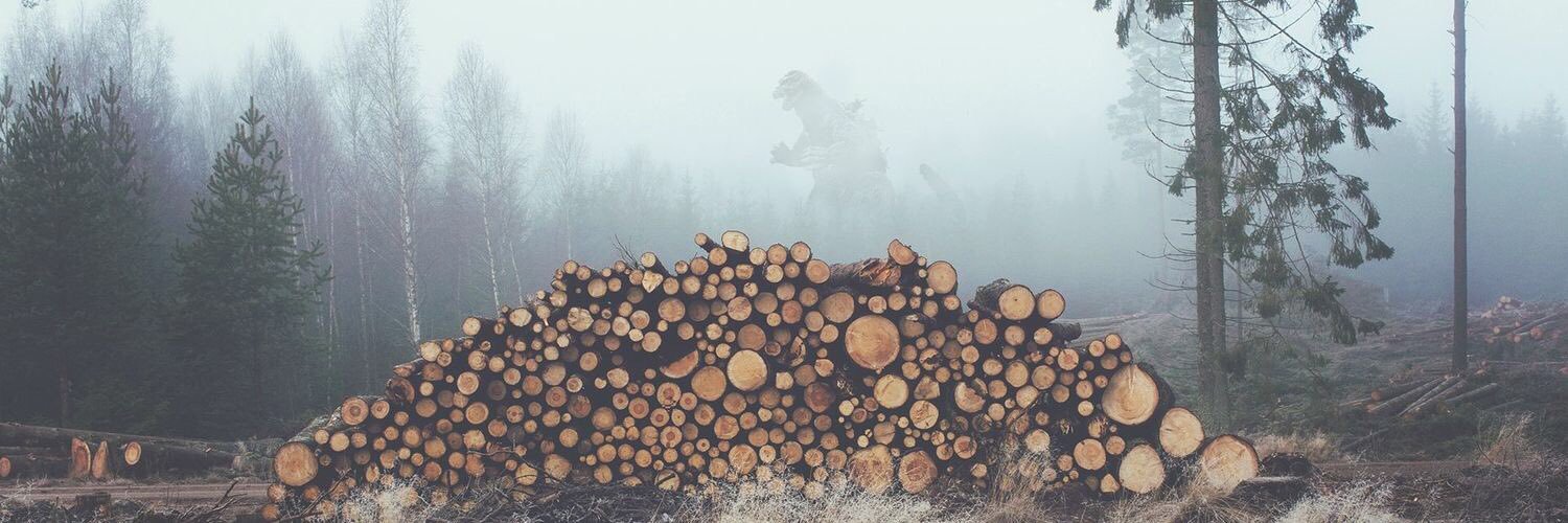 eomidi's profile banner image