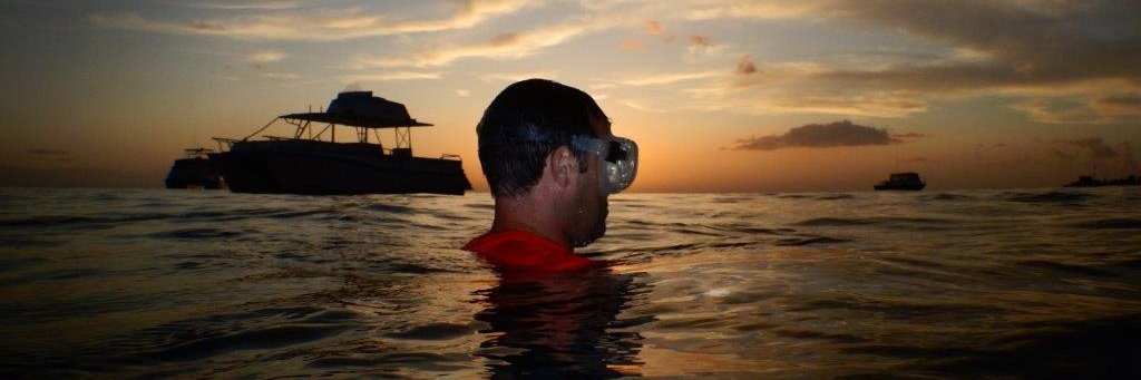 Shane Gero @sgero@scicomm.xyz banner