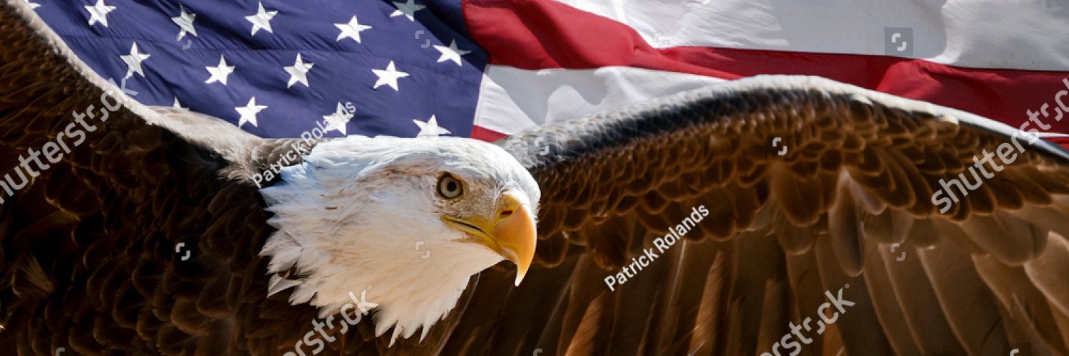 spoole3's profile banner image