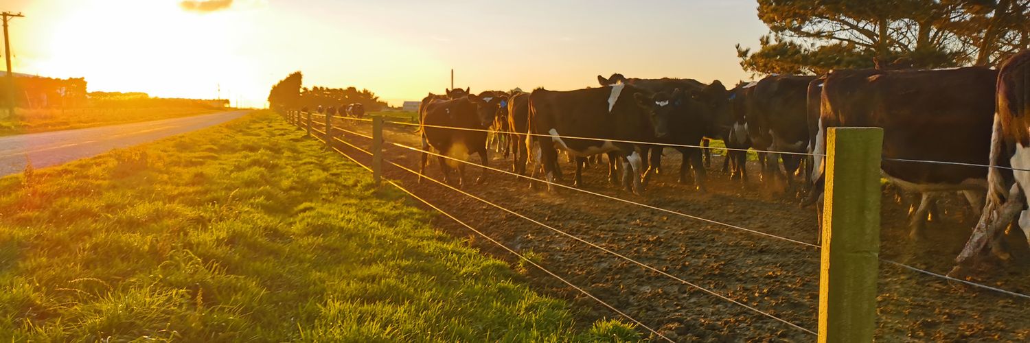 countrymumlife banner