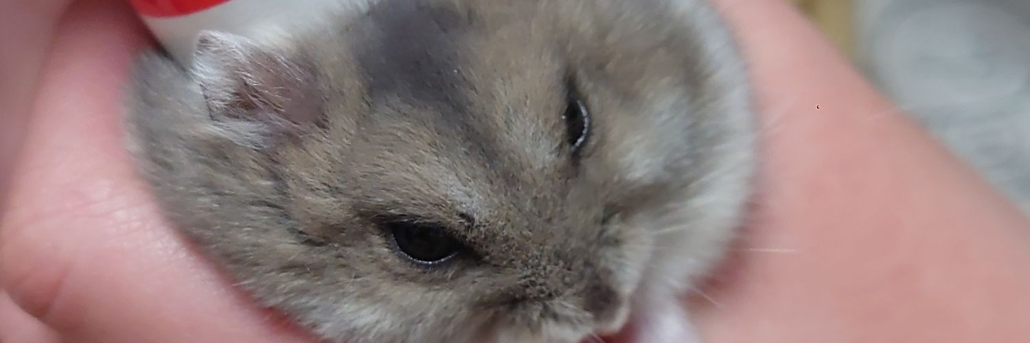 weaseldrop's profile banner image