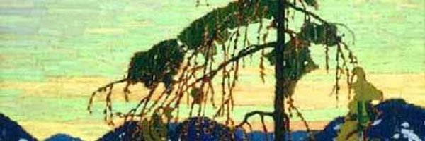 CommonSenseNews Profile Banner