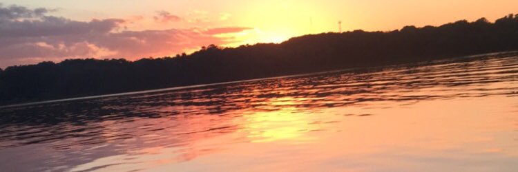 Michela_Tenuta's profile banner image