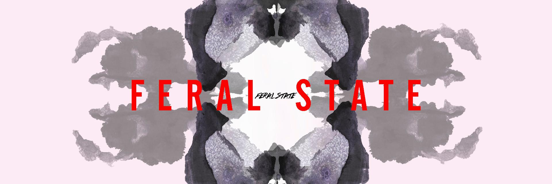 TheFeralState's profile banner image