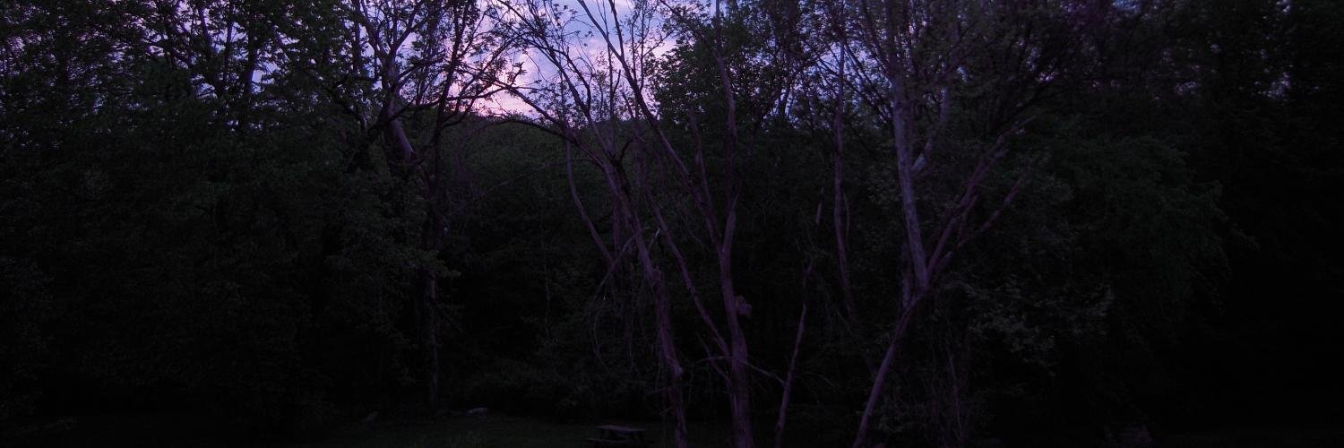 epileptictiger's profile banner image