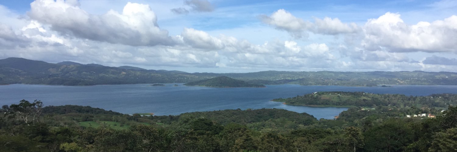 Diego Bosque G. banner