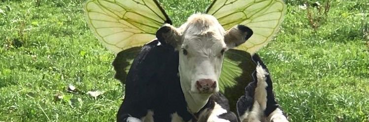 ituveg's profile banner image