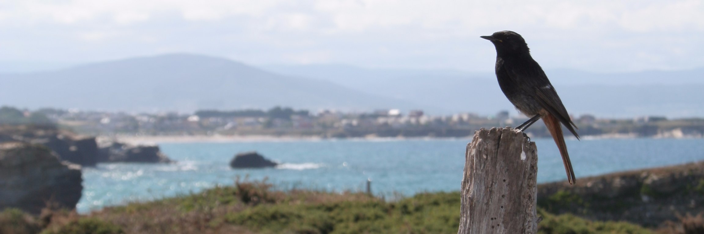 bertaeco's profile banner image