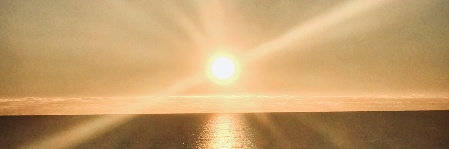 RonFLH's profile banner image