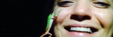 Anfileida's profile banner image