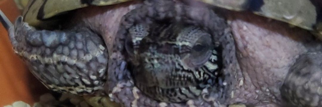 なおちゃん🐻🌾いつもヘルシア緑茶🍵⚽🥶💕 banner