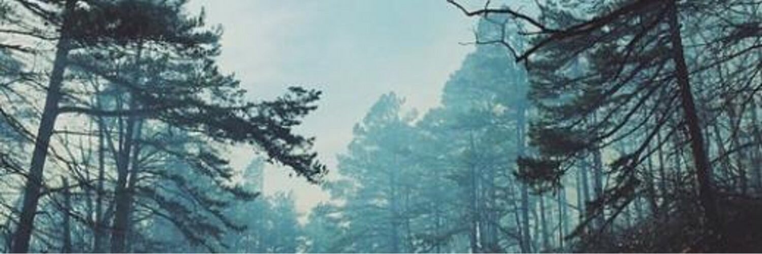 TeagenWalker's profile banner image