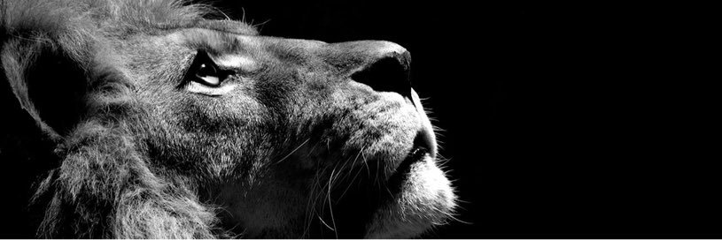 yshay76's profile banner image