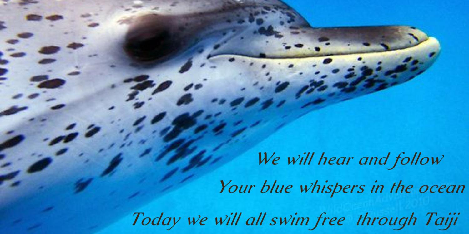 Bluecovedays's profile banner image