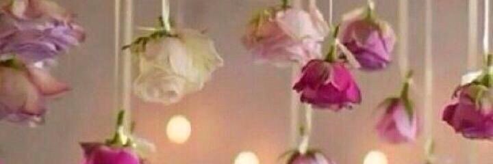 Amool223gg's profile banner image