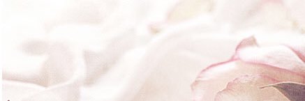 Jaida1414's profile banner image