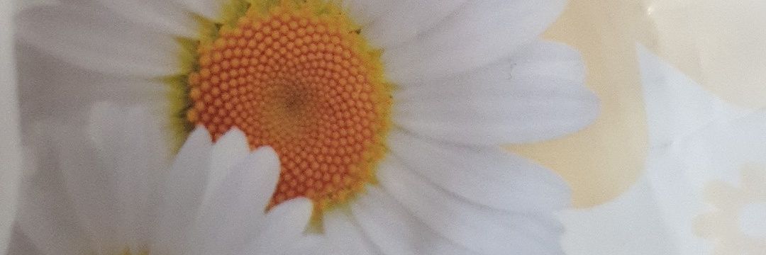 fatma78 banner