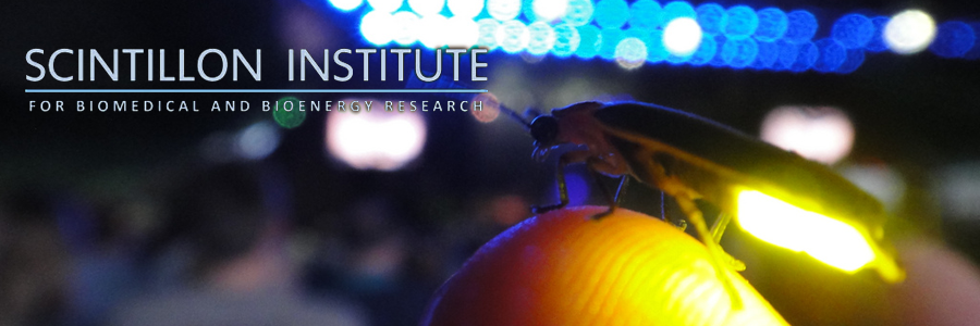 Scintillon Institute banner