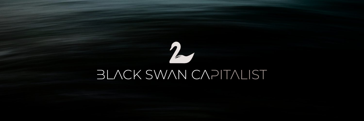Versan | Black Swan Capitalist's banner