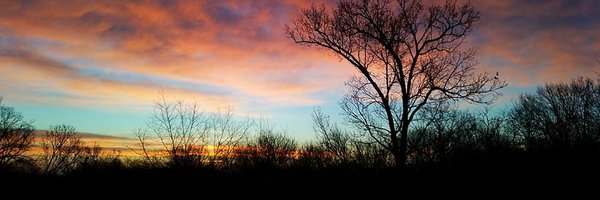 chunkyblue Profile Banner