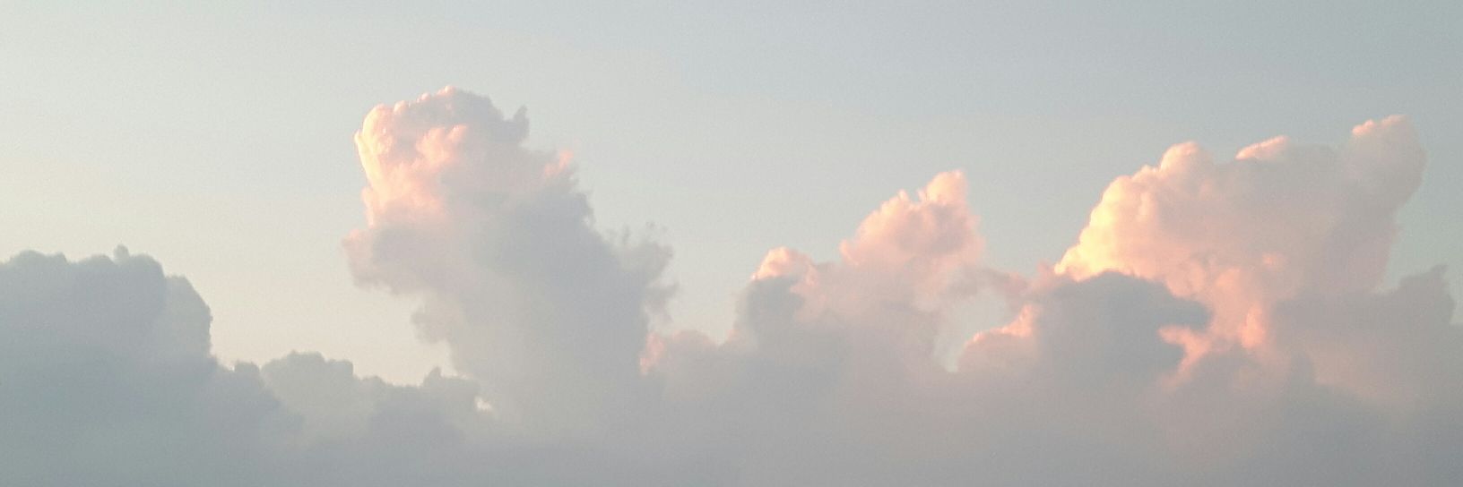 SpitfireCoyote's profile banner image