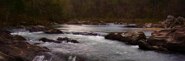 Connectionary Profile Banner