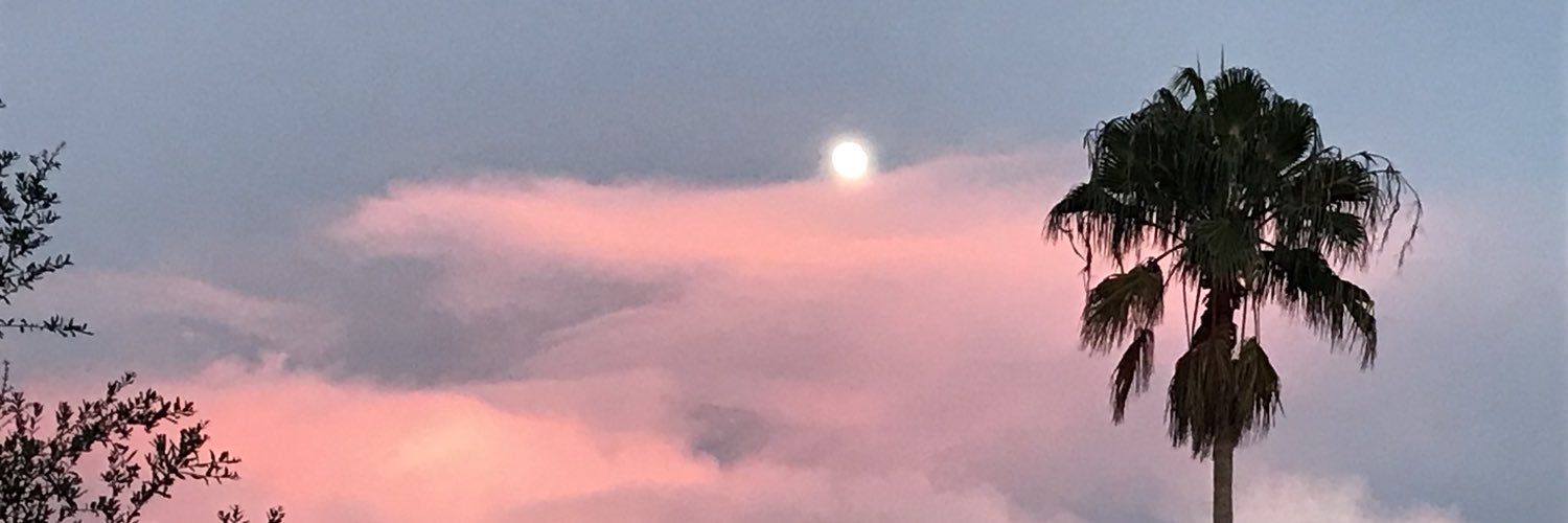 simcox22's profile banner image