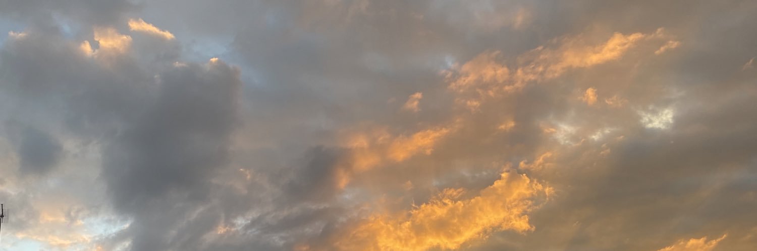 lea_l17's profile banner image