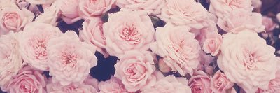 Charmaaineeee's profile banner image