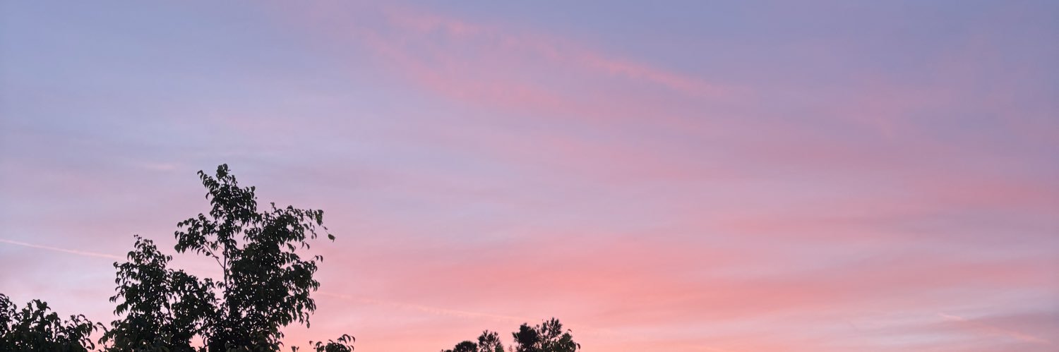 julissa banner