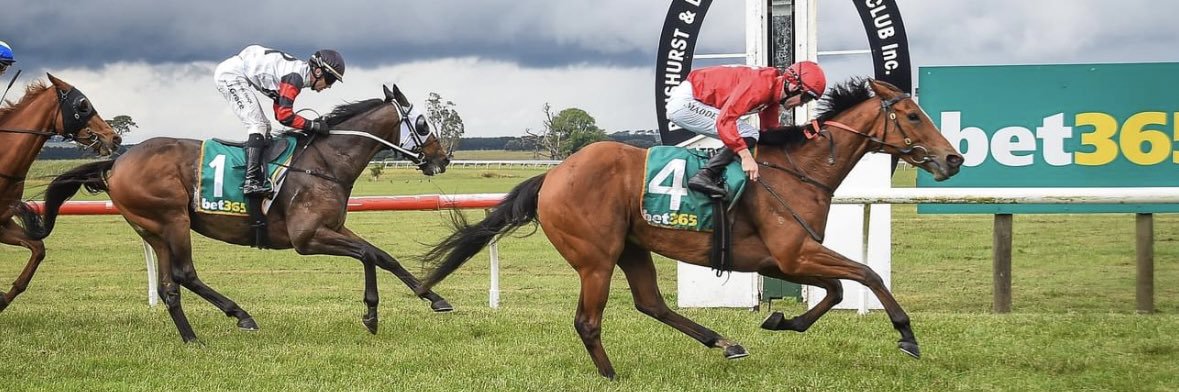 Penshurst & District Racing Club banner