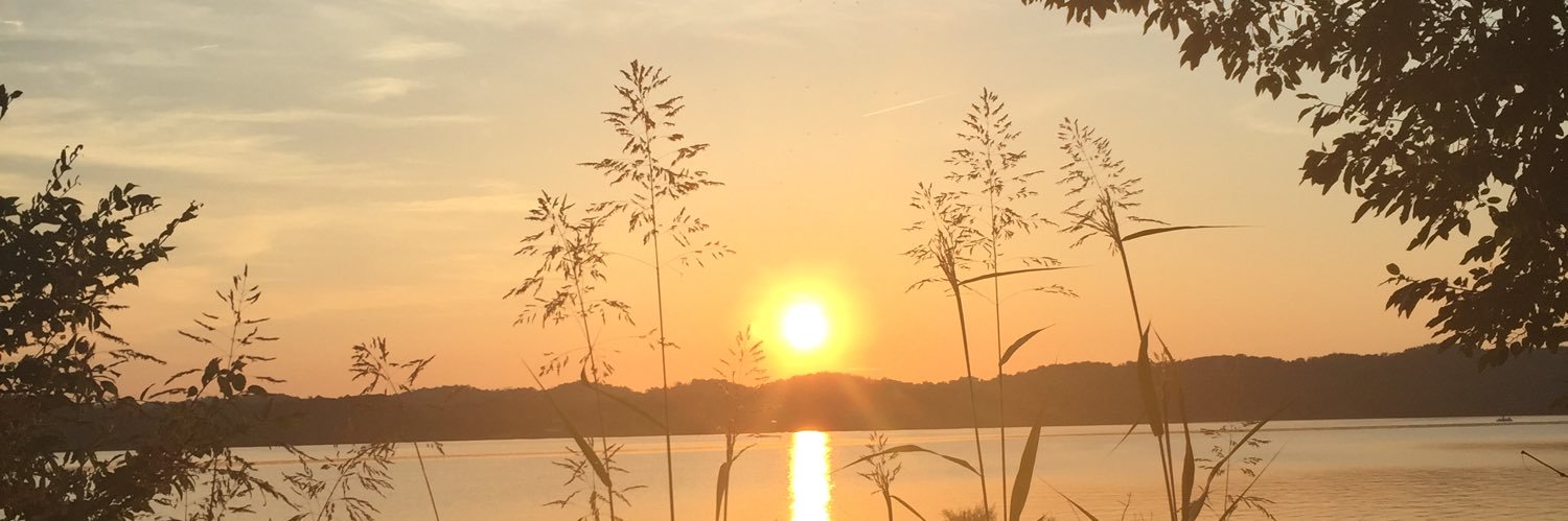 meagan0601's profile banner image