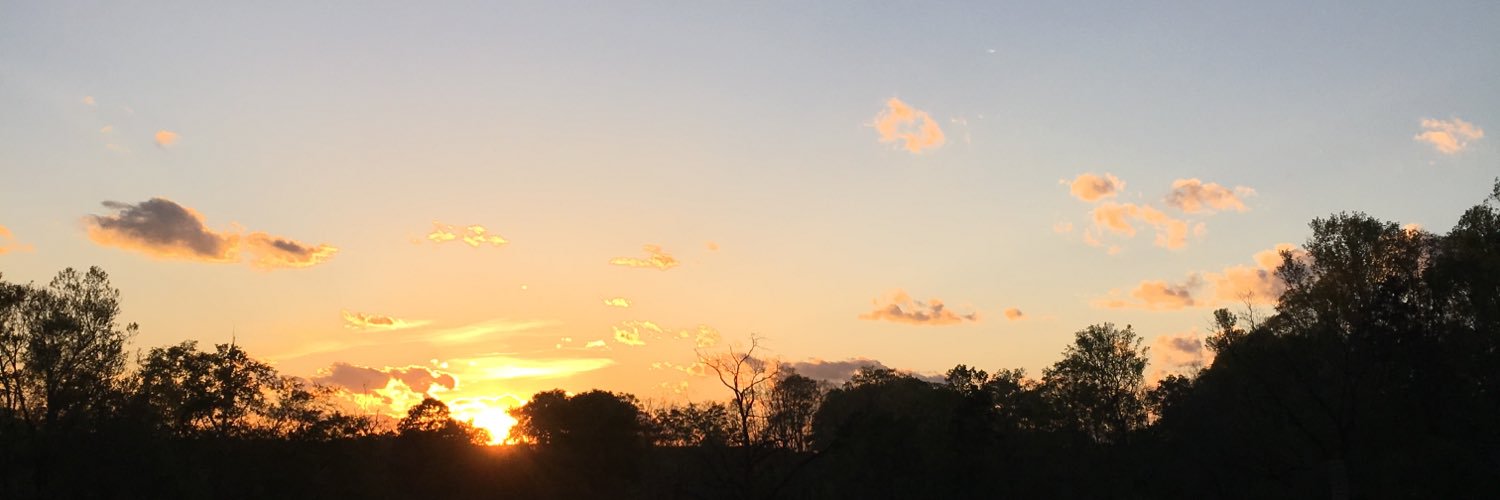 hadleybrownn's profile banner image