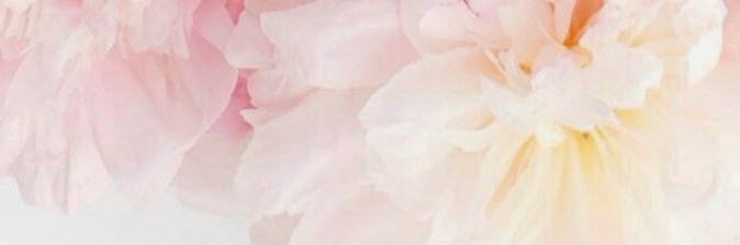 LilElizabeth_xX's profile banner image
