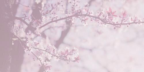 _MllJ94's profile banner image