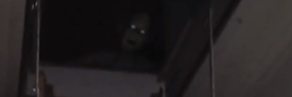 JACKMCWRATH's profile banner image