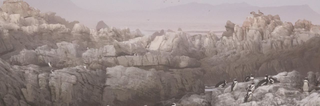 baddiwad's profile banner image