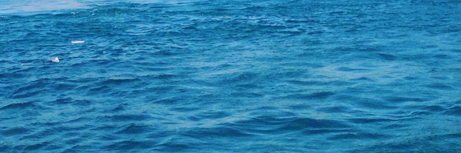 beyaztac's profile banner image