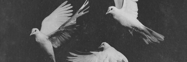 HanMuradow's profile banner image