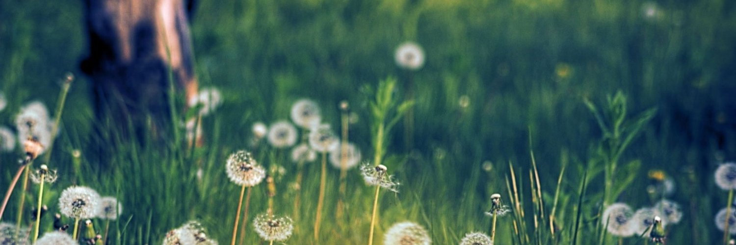 nadasaed125's profile banner image